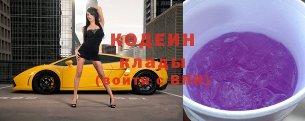 индика Нязепетровск