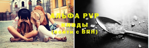 трава Няндома