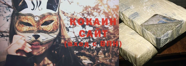трава Няндома