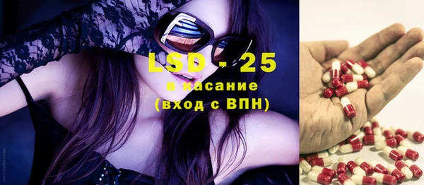 ECSTASY Алзамай