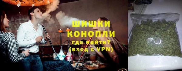 индика Нязепетровск