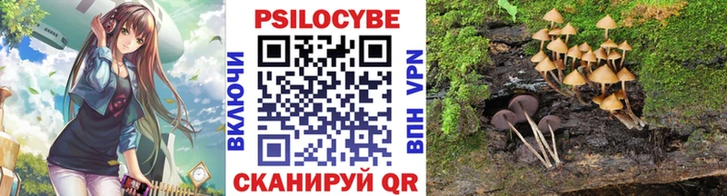 Галлюциногенные грибы Psilocybine cubensis  kraken зеркало  Урай  купить наркотики сайты 