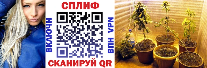 Бошки Шишки Amnesia  наркота  Урай 